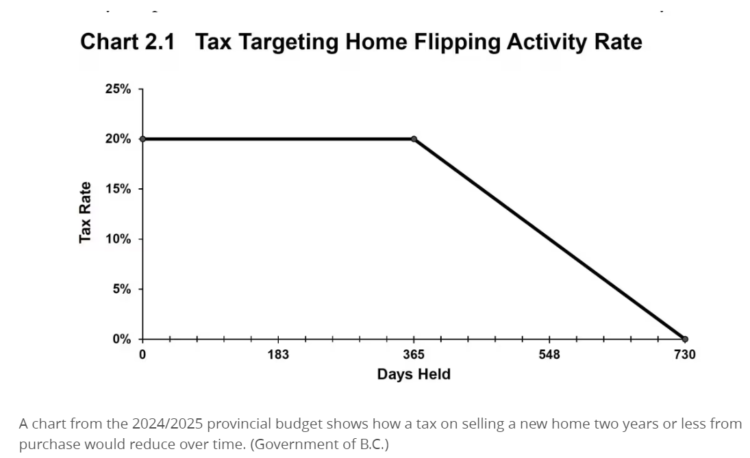 tax targeting flipping